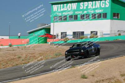 media/May-07-2022-Cobra Owners Club of America (Sat) [[e681d2ddb7]]/Yellow/Session 1 (Turn 4)/